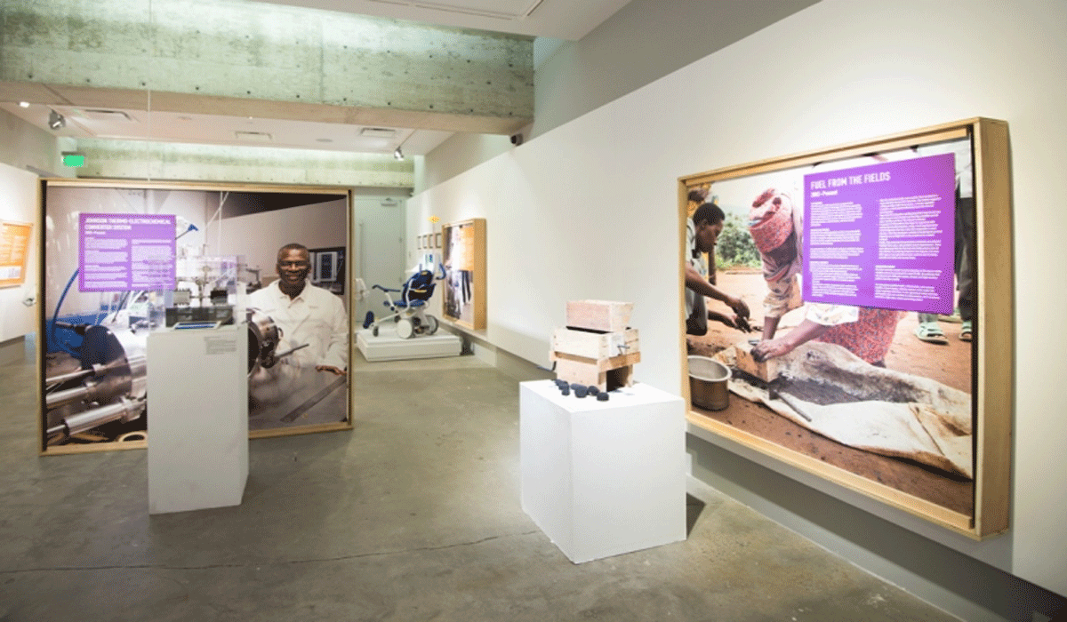 the Social Impact of the Exhibition